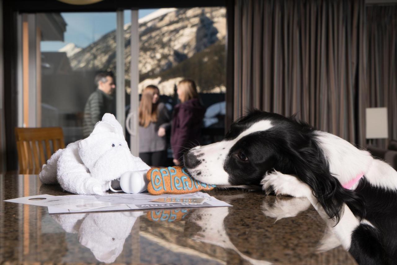 Copperstone Resort By Clique Canmore Eksteriør billede